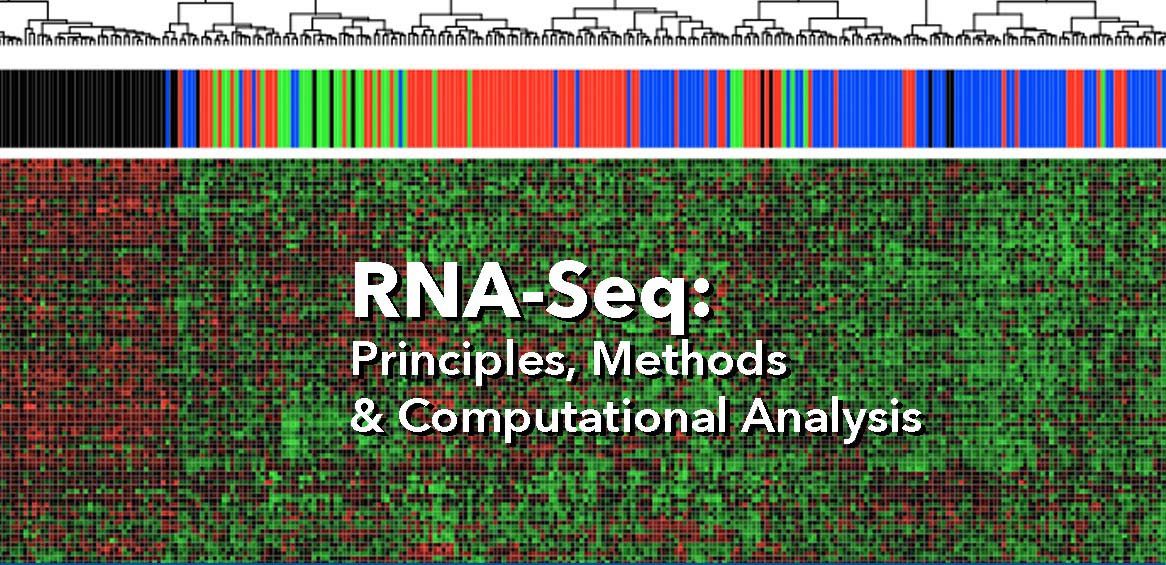 RNA-Seq Biotechnology Training Program