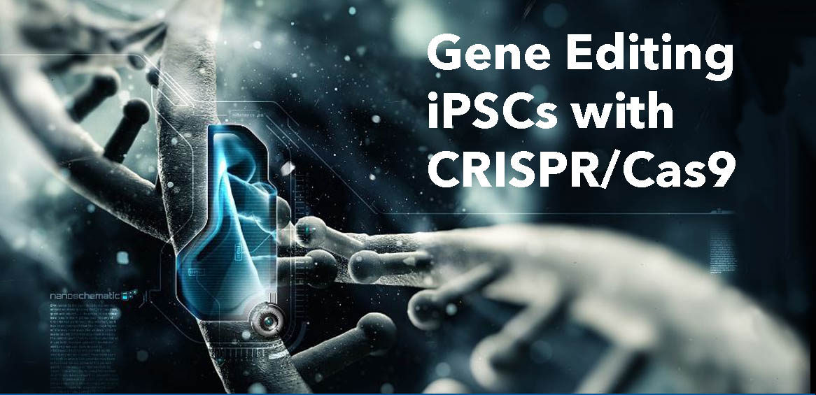 Gene Editing iPSCs with CRISPR/Cas9 Biotechnology Training Program