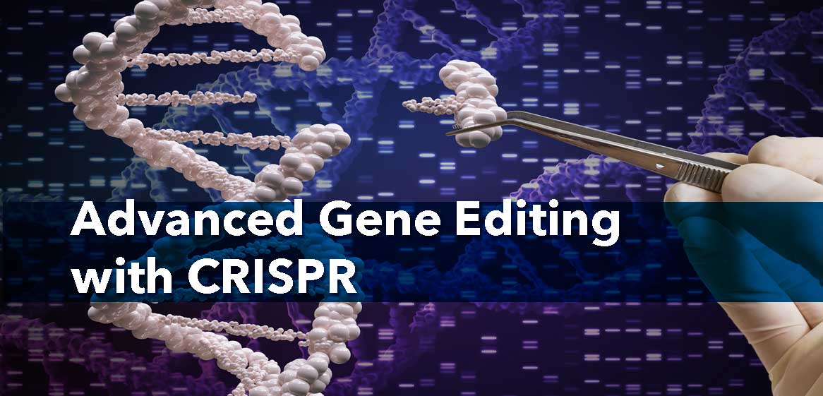Advanced Gene Editing with CRISPR - Bio-Trac Biotechnology Training