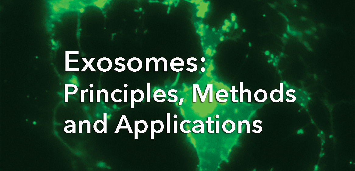 exosomes